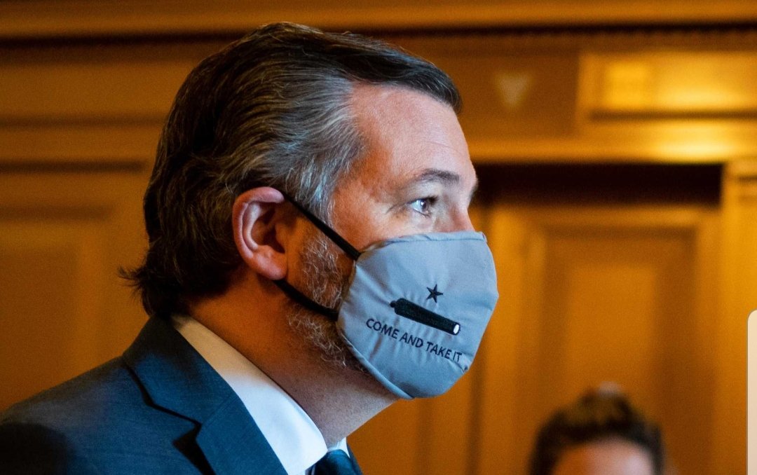 A photograph of the head of Texas Senator Ted Cruz, wearing a grey facemask bearing the words "come and take it."